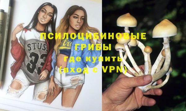 PSILOCYBIN Алзамай